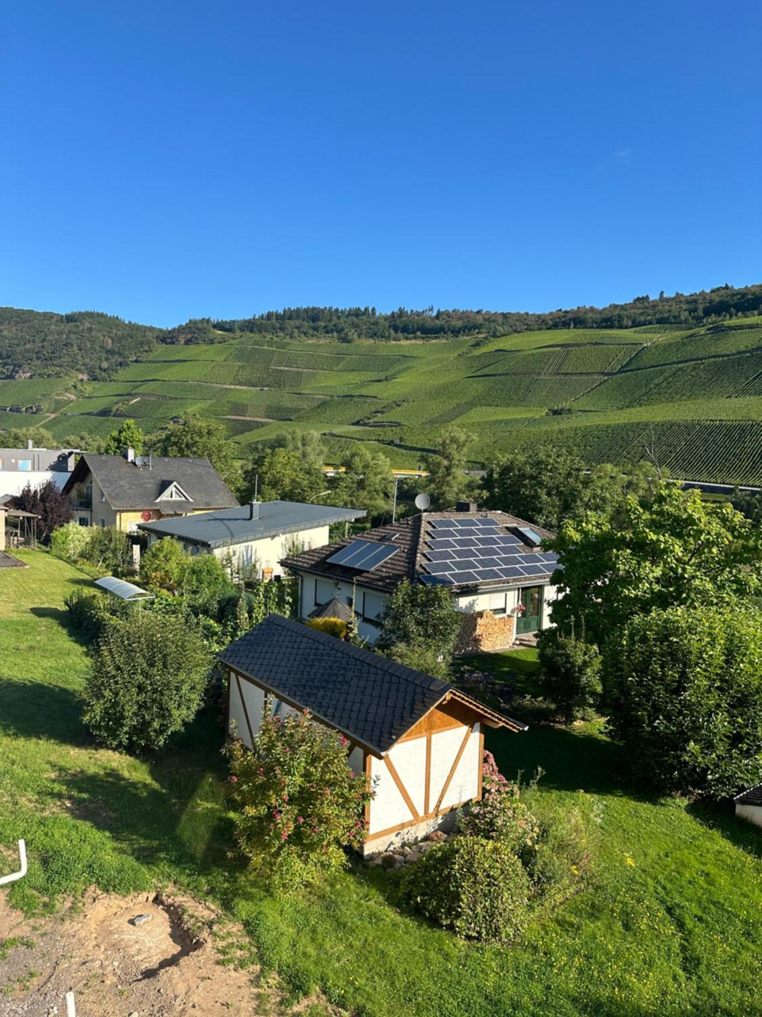 Moselappartements By Weingut Marco Adamy Lösnich Kültér fotó