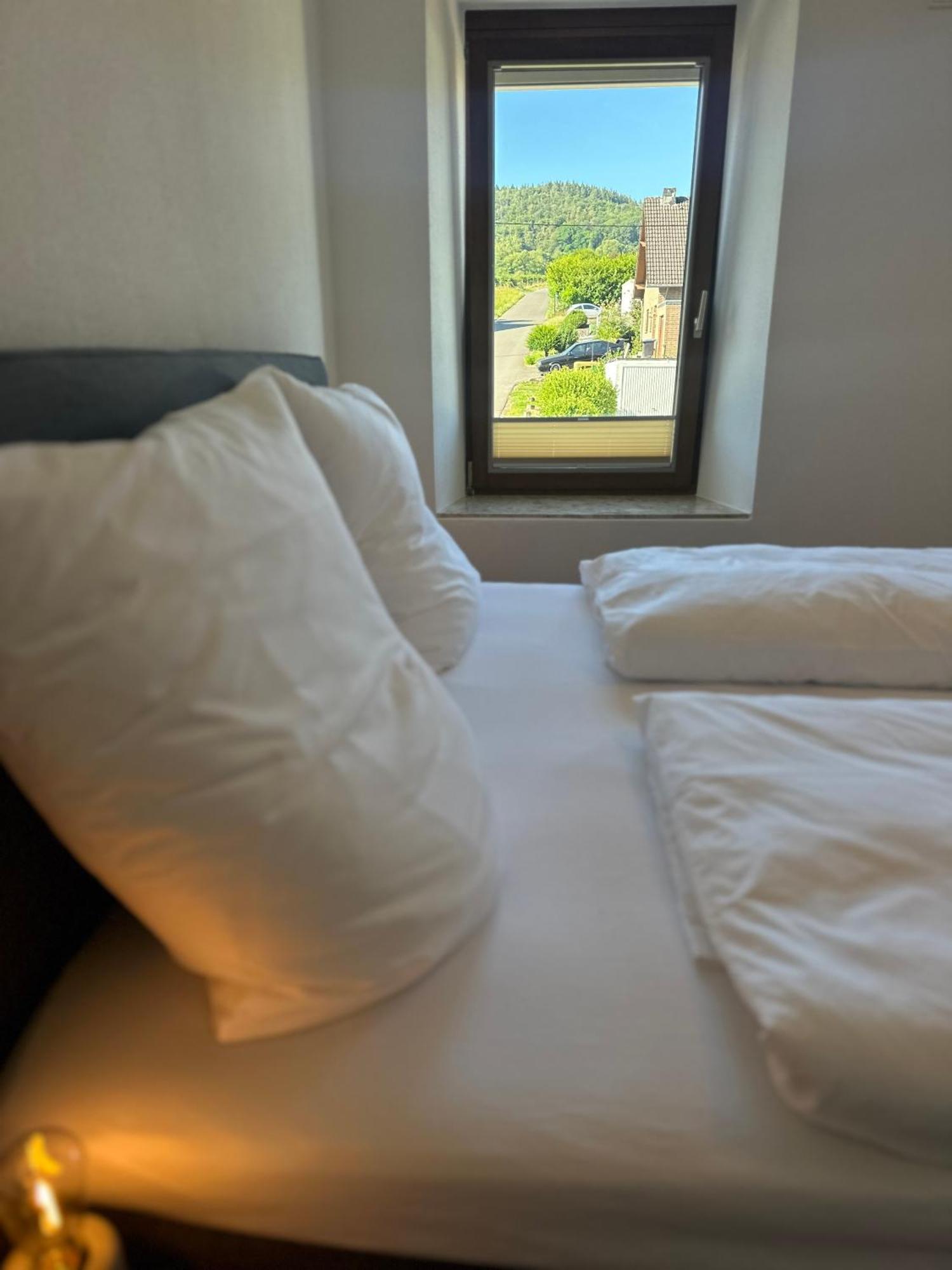 Moselappartements By Weingut Marco Adamy Lösnich Kültér fotó