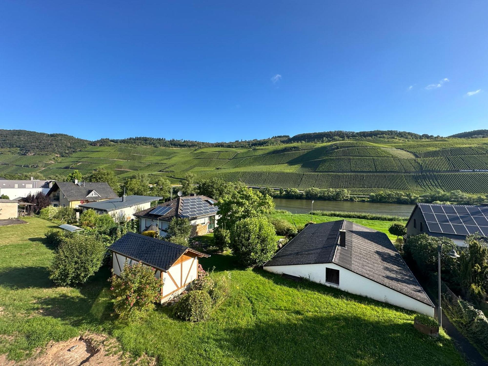 Moselappartements By Weingut Marco Adamy Lösnich Kültér fotó