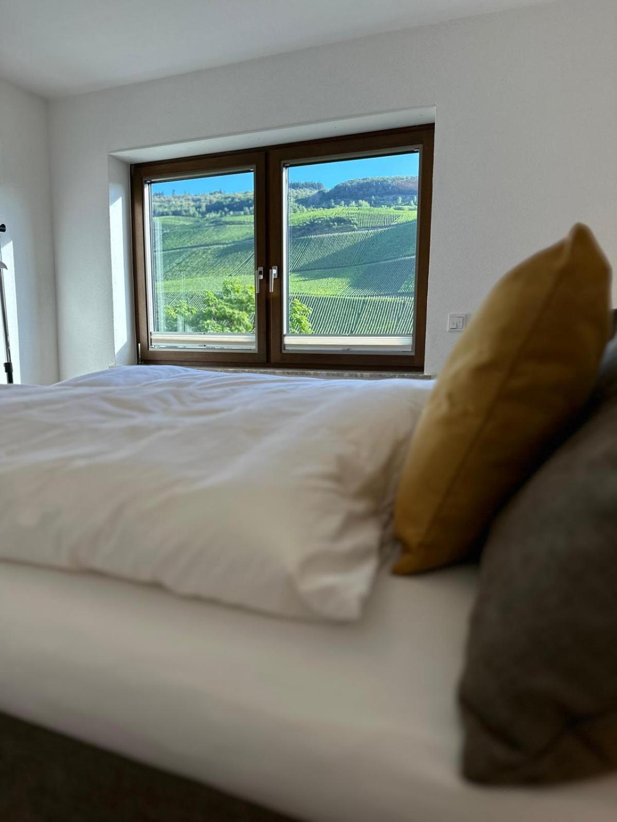 Moselappartements By Weingut Marco Adamy Lösnich Kültér fotó