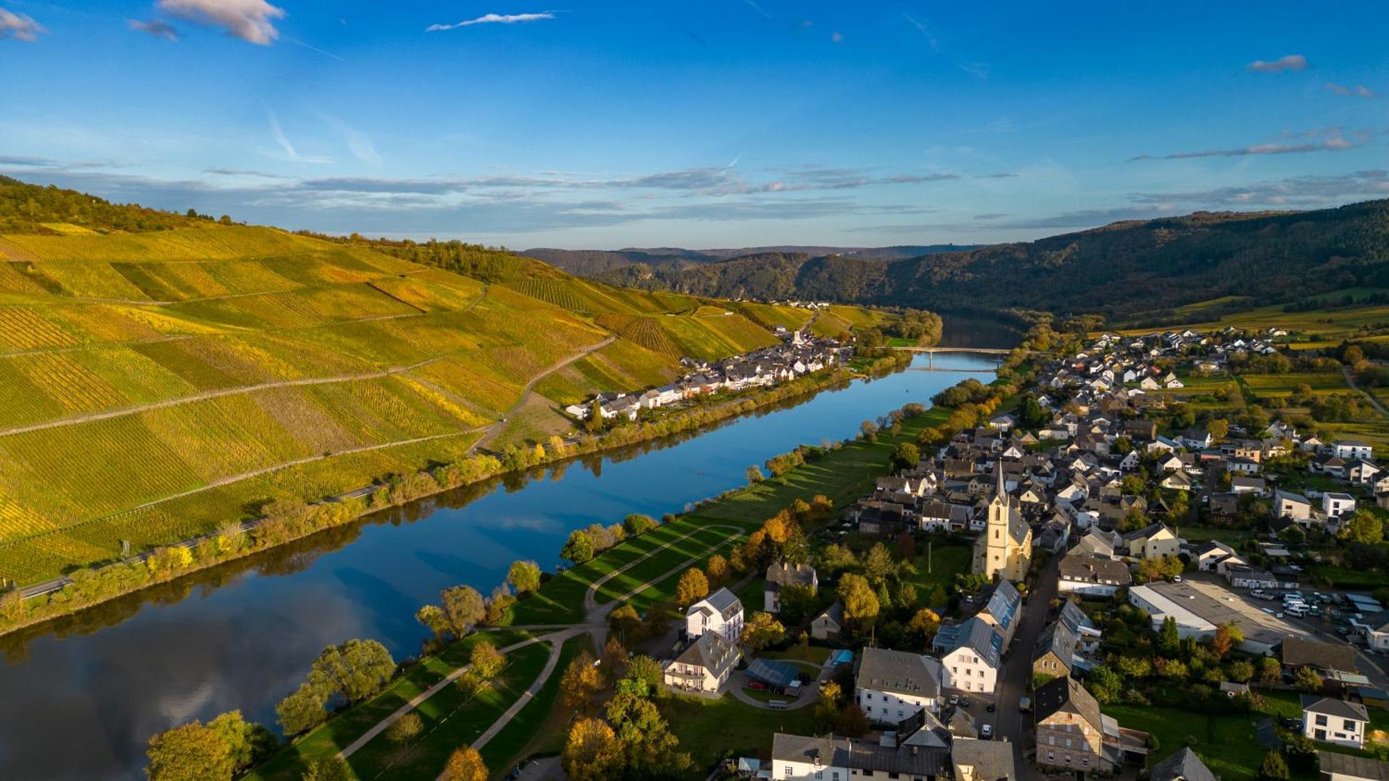 Moselappartements By Weingut Marco Adamy Lösnich Kültér fotó