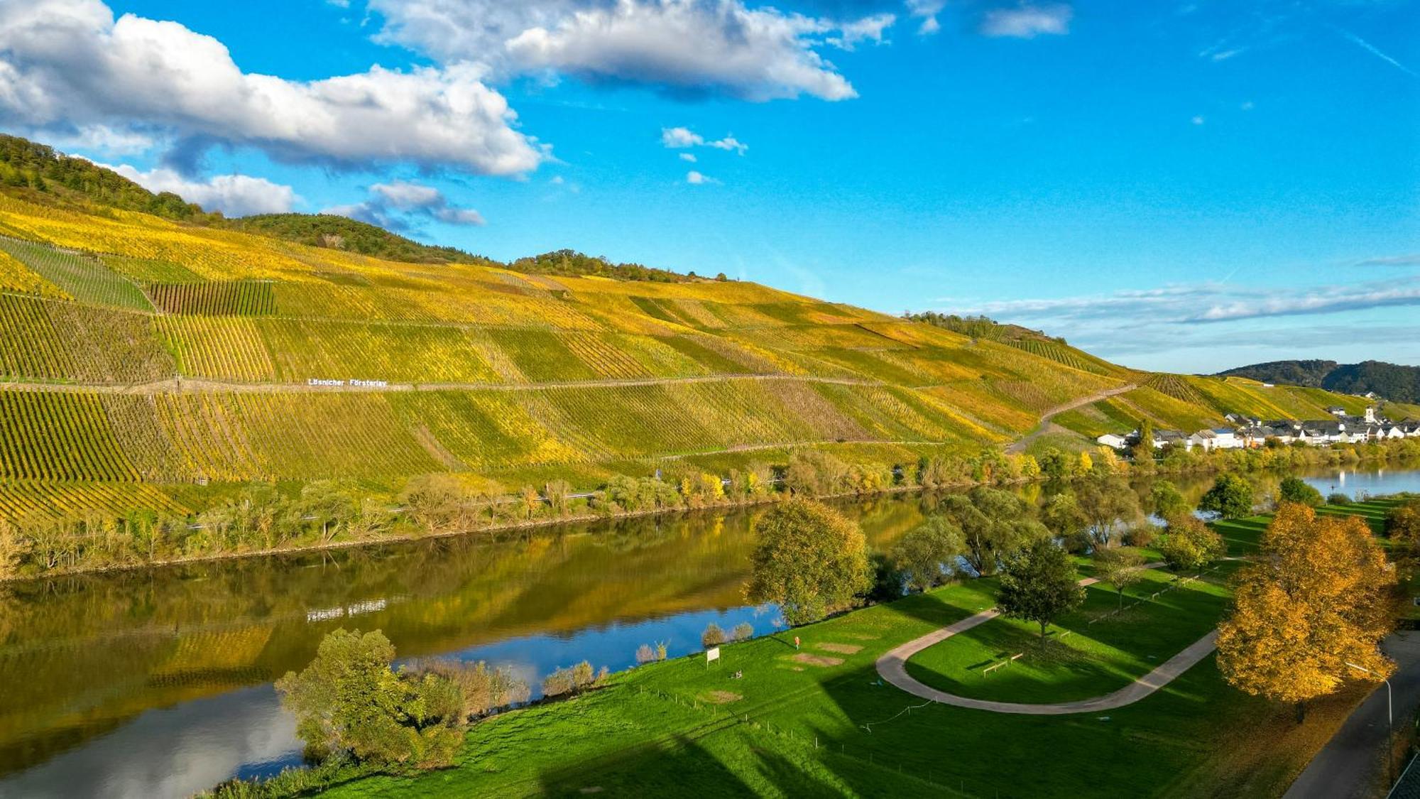 Moselappartements By Weingut Marco Adamy Lösnich Kültér fotó