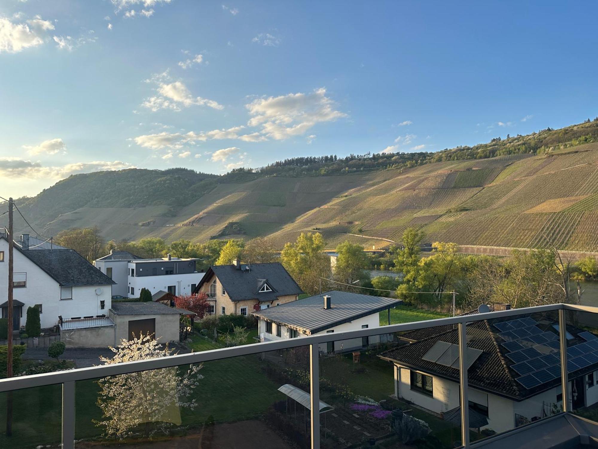 Moselappartements By Weingut Marco Adamy Lösnich Kültér fotó